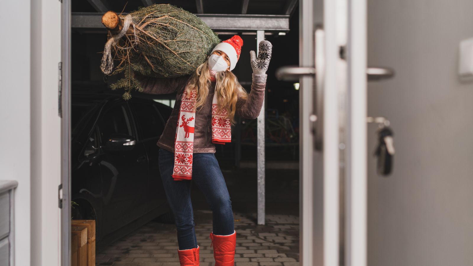 Where to buy Christmas trees in London Blog Zipcar